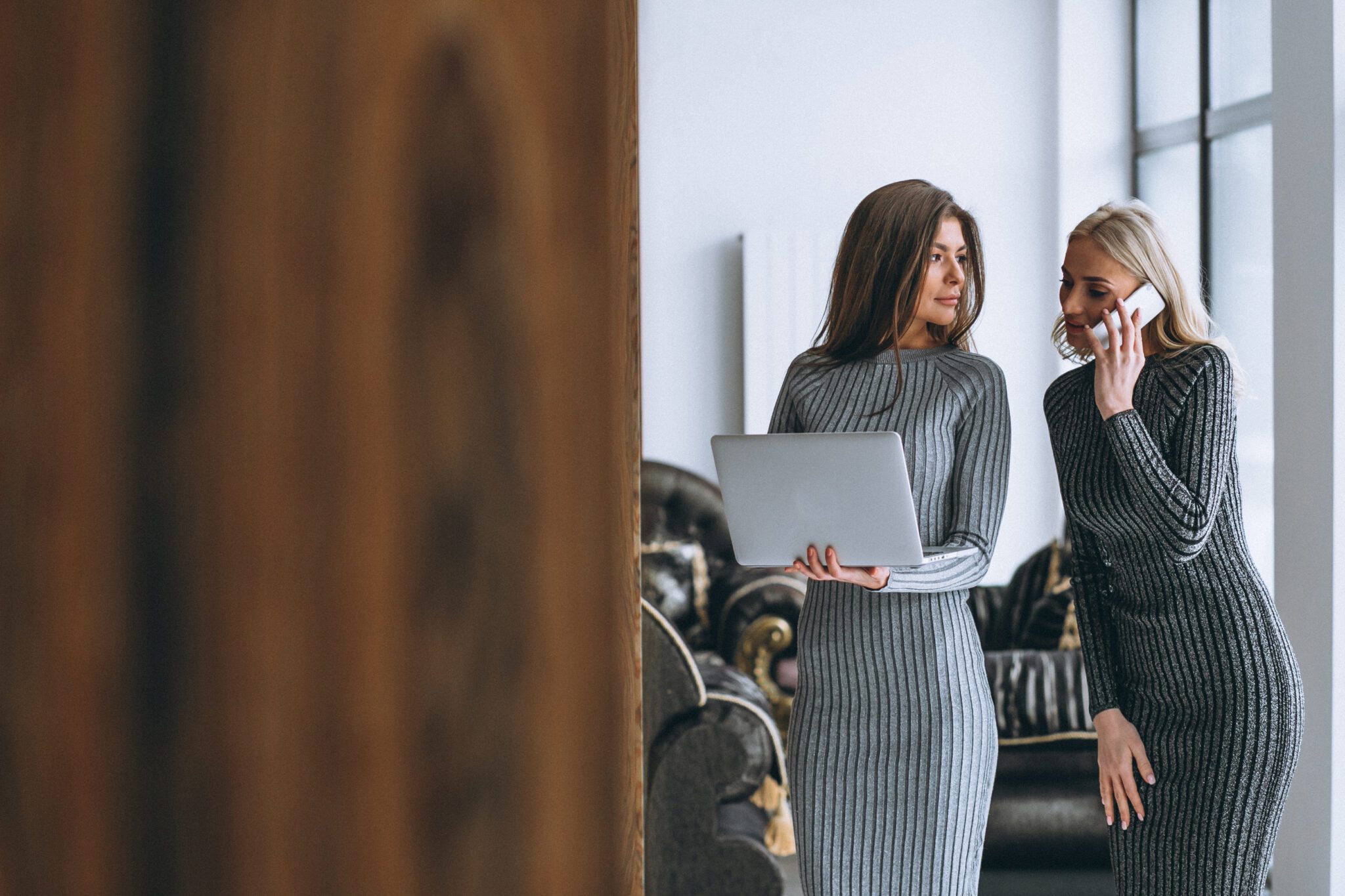 Two business woman with computer